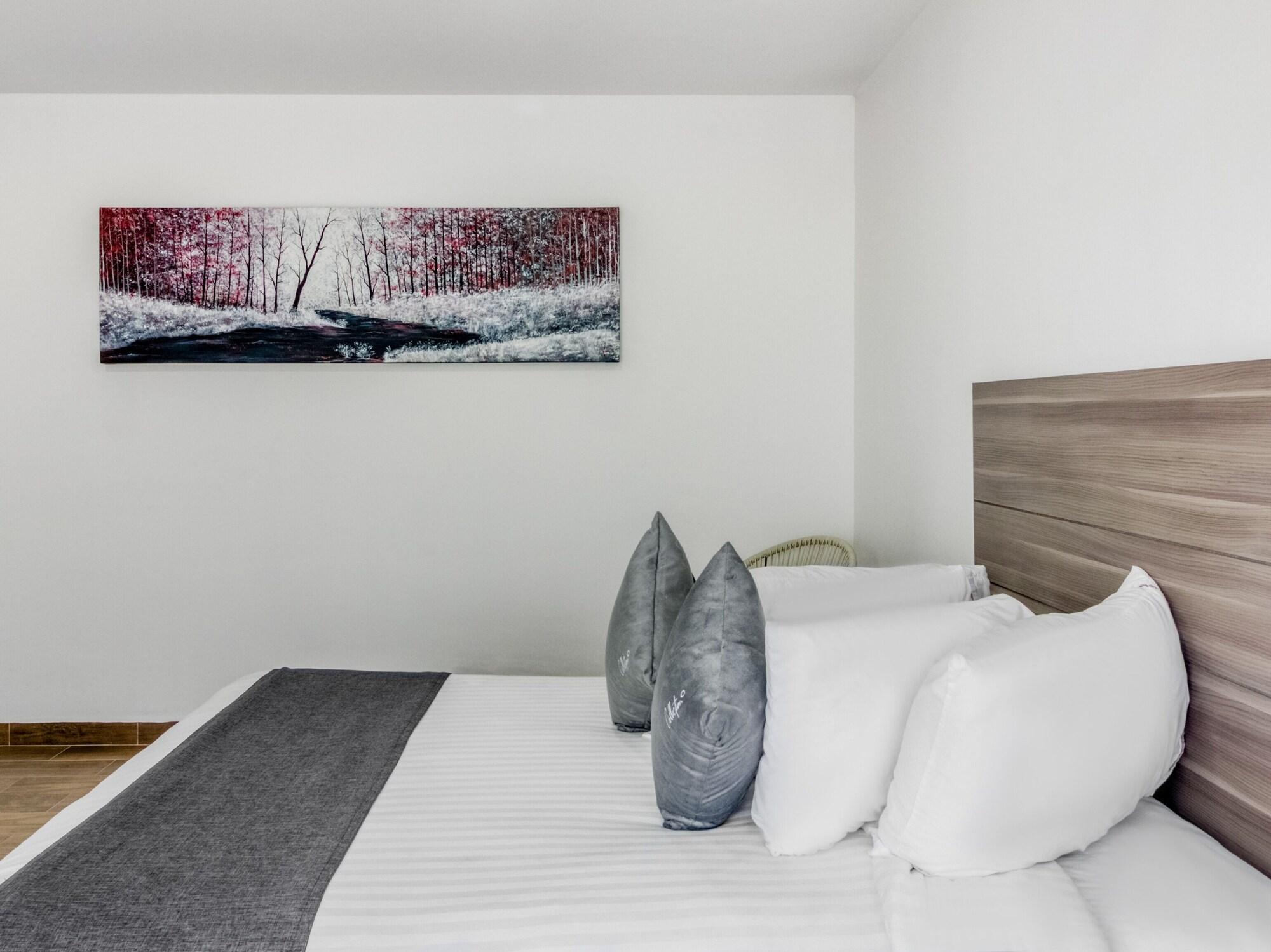 Vn Hotel Monterrey Dış mekan fotoğraf