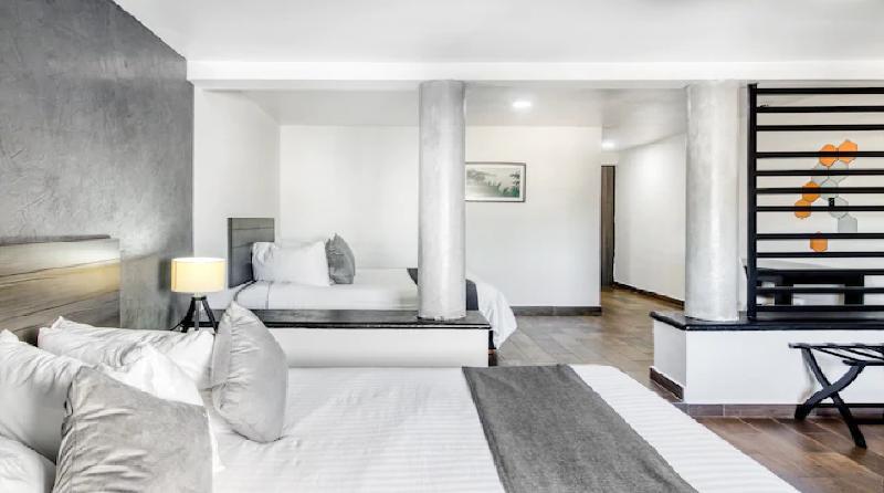 Vn Hotel Monterrey Dış mekan fotoğraf